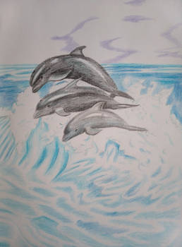 Ocean February 15 - Dolphins