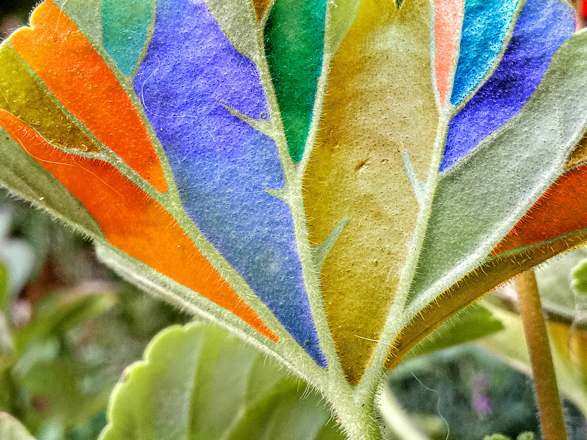 Growing Color In Growing Colours by MagentaRoseOrchid on DeviantArt