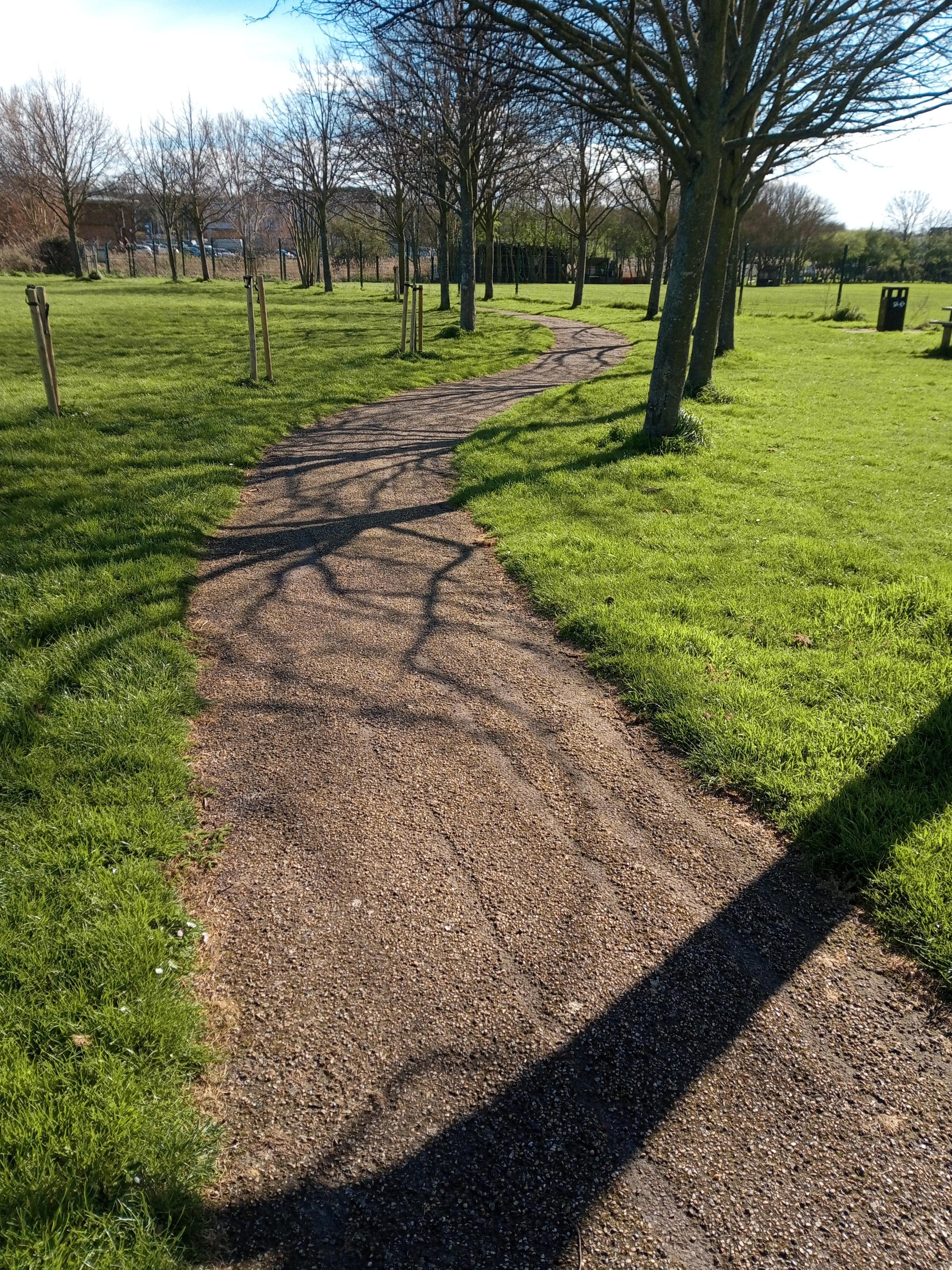 Path Of Shadows by MagentaRoseOrchid on DeviantArt