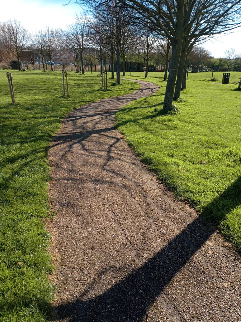 Path Of Shadows by MagentaRoseOrchid on DeviantArt