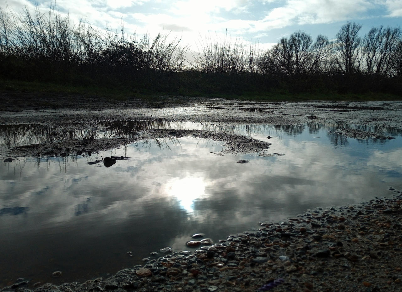 Puddle Reflection by MagentaRoseOrchid on DeviantArt