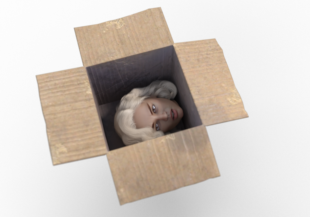 Boxes 2.3