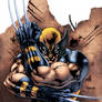 Wolverine