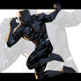 Fighting Black Panther Color