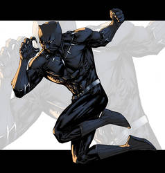 Fighting Black Panther Color