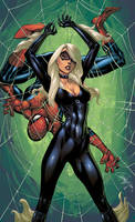 Spider Man and Black Cat Color