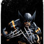 black wolvie