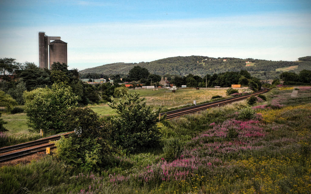 Cupar.Meadow.Railway