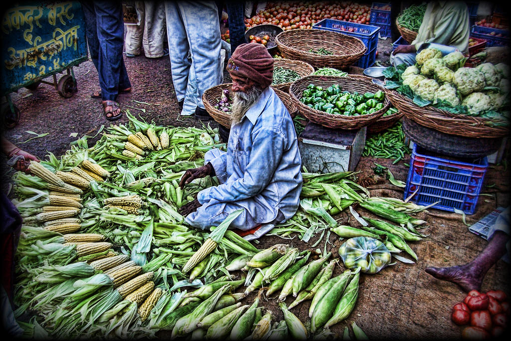 The Corn Seller