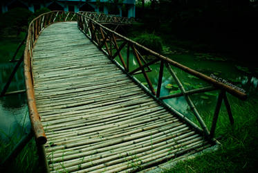 Bamboo Bridge