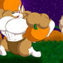 Pumpkin Run