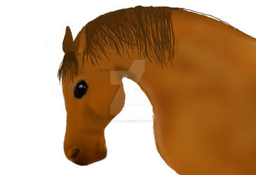 Incomplete Horse