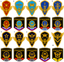 RIAF Emblems