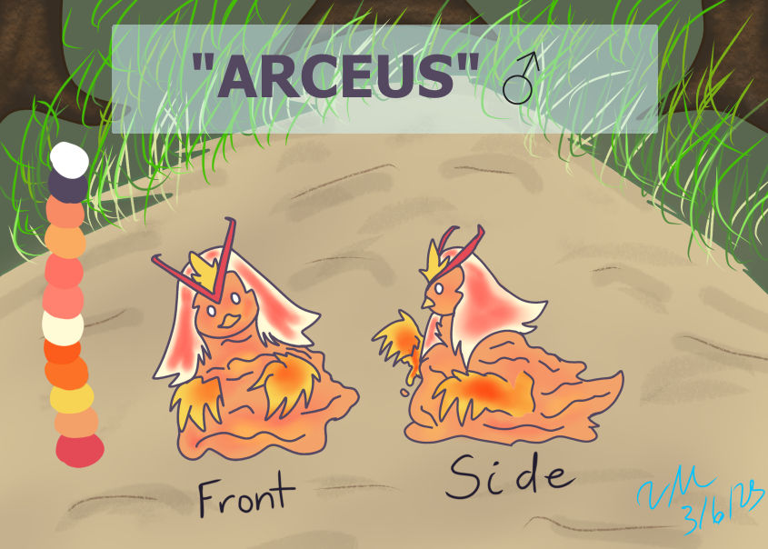Arceus Ref by Snowcat5 on DeviantArt