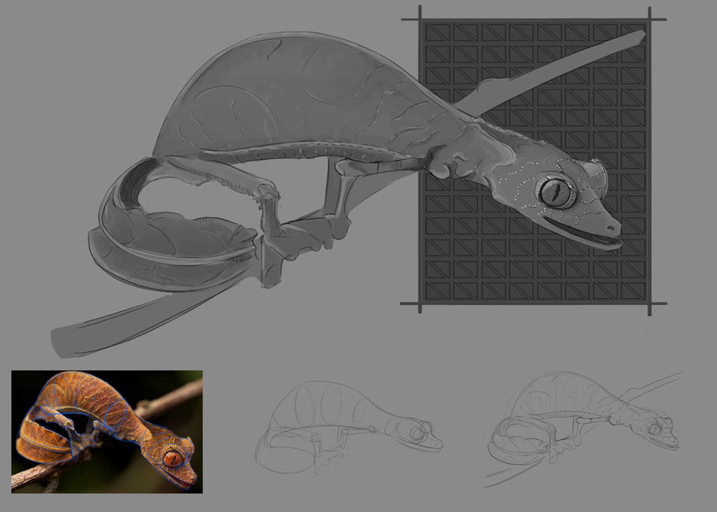 Gecko Back Design Gecko Study 1 Part 1 by adam-designs on DeviantArt