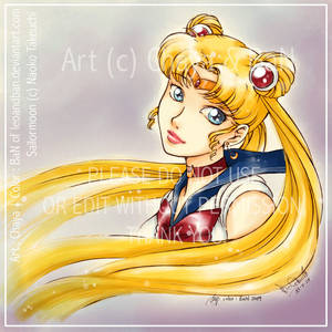 Collab - Sailormoon