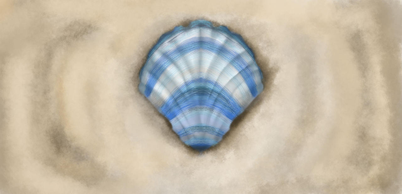Shell by kdezen on DeviantArt