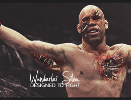 Wanderlei - Designed To Fight