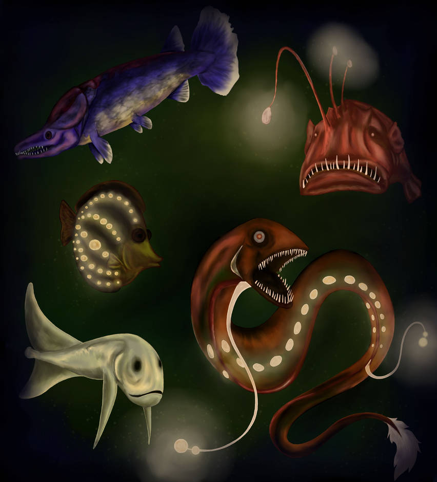 Abyss Fish Animation Beebe's Abyssal Fish by EdenAfterDark on DeviantArt