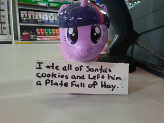 twilight gets pony pony shamed for christmas