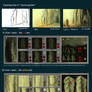 Tutorial 7 No secret in my garden