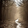 The Way