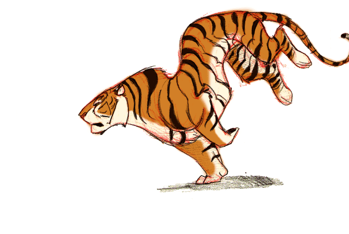 Tiger Run