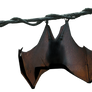 Hanging Bat