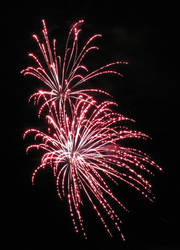 Firework IMG 0766