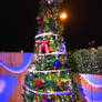 Christmas Tree Trail WDW IMG 4555