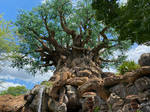 AK Tree of Life WDW IMG 1916 by TheStockWarehouse