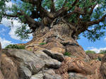 AK Tree of Life WDW IMG 1919 by TheStockWarehouse