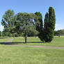 Lane or Paths on the Golf Course Stock Pack 2