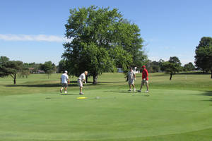 Golfers, Carts and Greens Golf Course Multi Stocks
