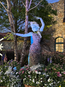 Elsa Has Creative Freedom IMG 6392