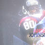 Andre Johnson sig