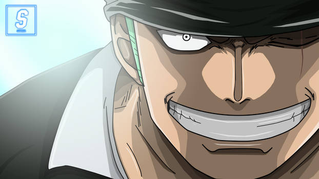 Roronoa Zoro Dressrosa - One Piece