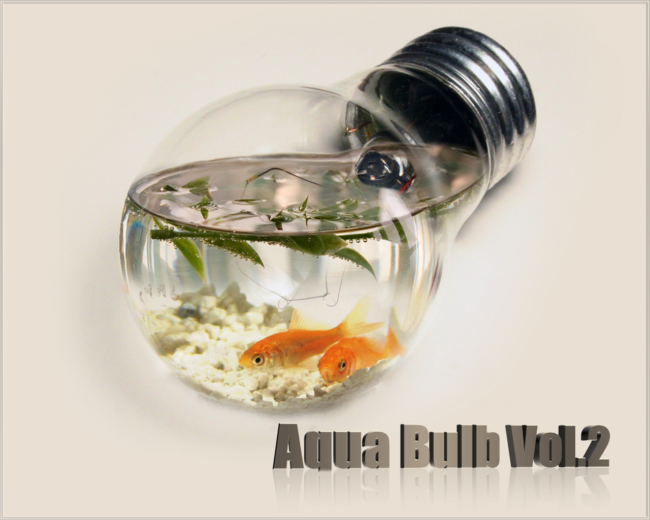 Aqua Bulb Vol.2