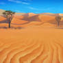 Desert in Africa