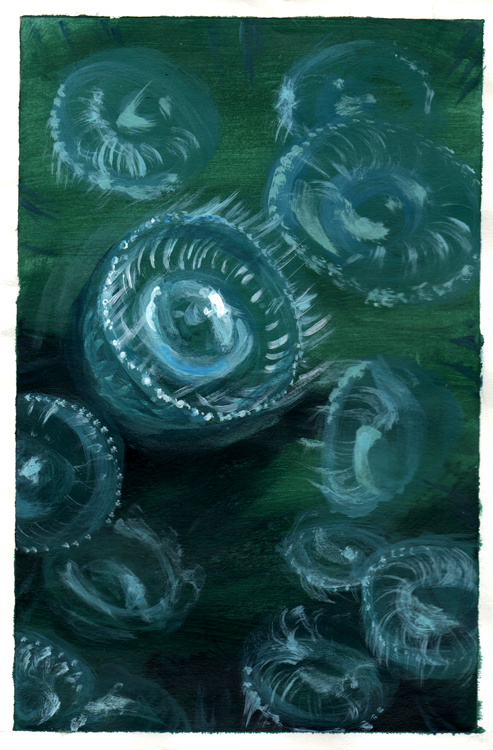 School of Jellyfish