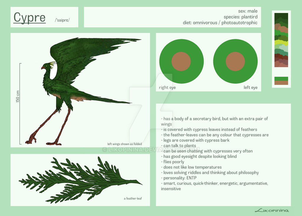 Cypre reference sheet by Likopinina on DeviantArt