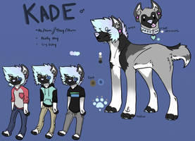 Kade Ref 2015