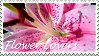 flower-lovers stamp