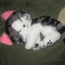 Chi plushie Chi's Sweet Home