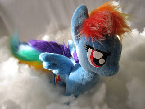 Ranbow Dash