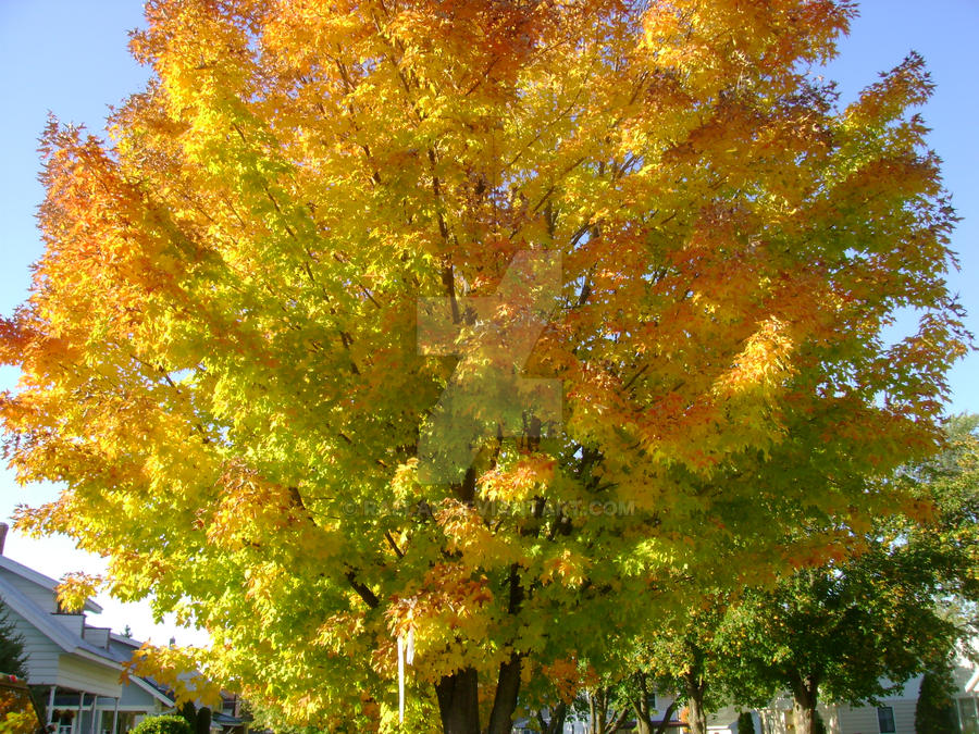Colors Three by Raelae on DeviantArt