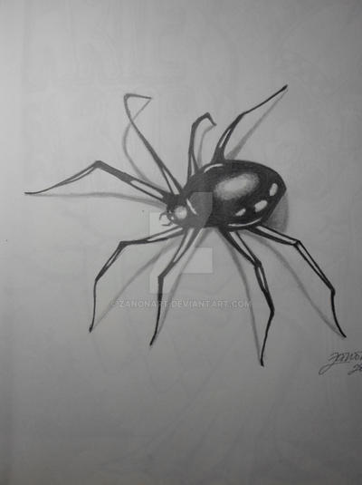 SPIDER 3D by ZANONART on DeviantArt
