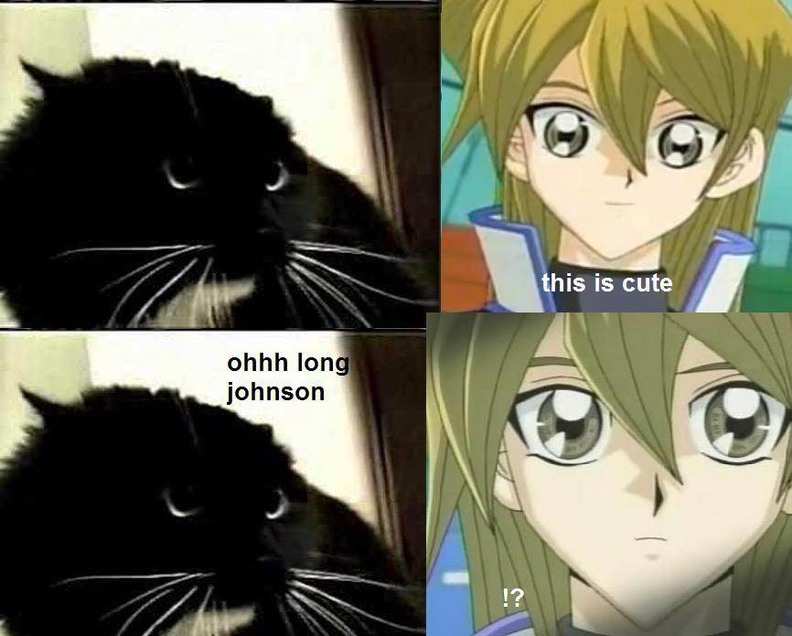 Cat Reacts To Oh Long Johnson Video 