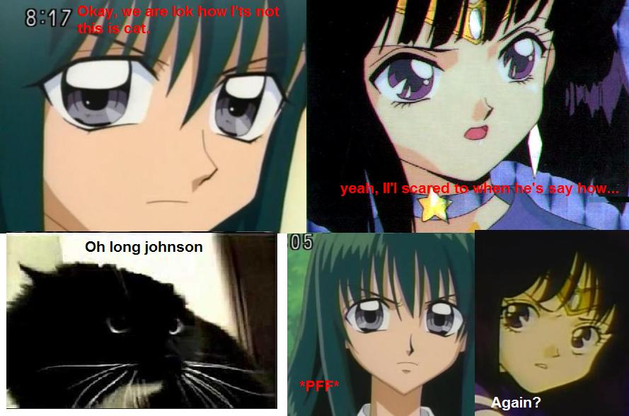 Talking Cat Say Oh Long Johnson Lina And Hotaru Be by anubis55513 on  DeviantArt