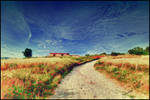 Wild House by JohnnyVadala